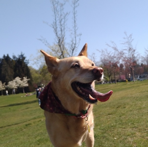 Meet your Posher, Della Terra! - Picture 1 of 1